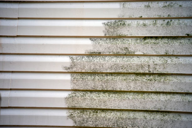 Best Carpet Removal and Disposal  in King, WI